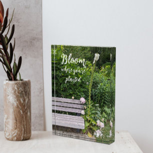 Bloom Where You're Planted Zitat Fingerhut Fotoblock