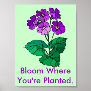 Bloom, wo du Planet bist Poster