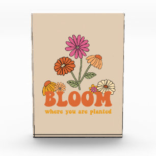 Bloom Wo Sie gepflanzt sind Fotoblock
