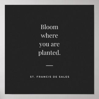 Bloom, wo Sie gepflanzt St Francis de Sales Poster