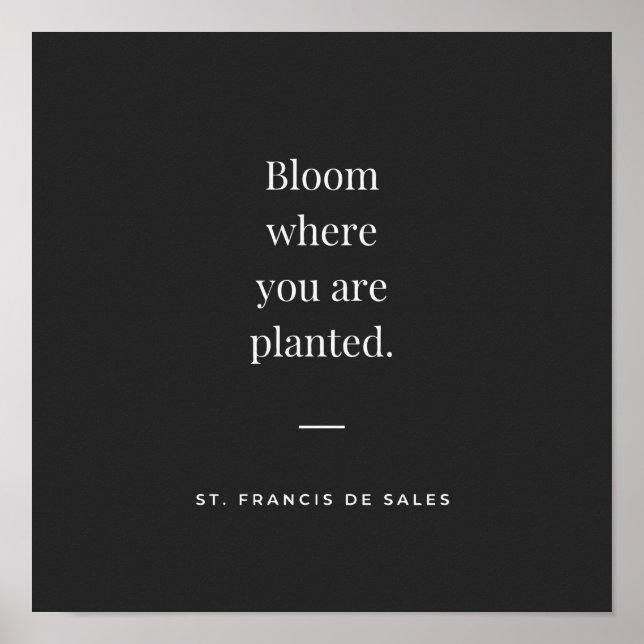 Bloom, wo Sie gepflanzt St Francis de Sales Poster (Vorne)