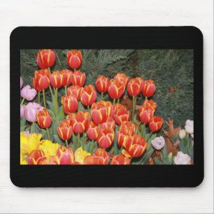 Bloomin' Tulips! Mousepad