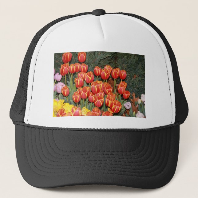 Bloomin' Tulips! Truckerkappe (Vorderseite)