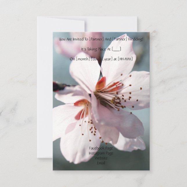 Blooming cherry flower wedding invitation einladung (Vorderseite)