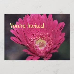 Blooming Gerbera Einladung