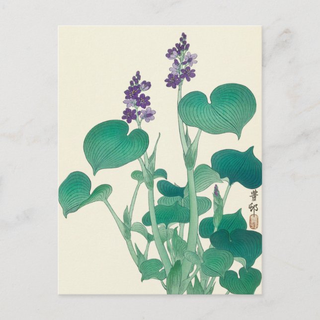 Blooming Hosta Painting von Ohara Koson Postkarte (Vorderseite)