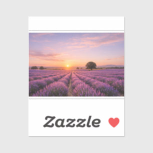 Blooming Lavender Field at Golden Sunset Provence Aufkleber