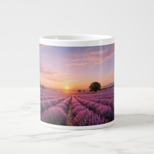 Blooming Lavender Field at Golden Sunset Provence Jumbo-Tasse