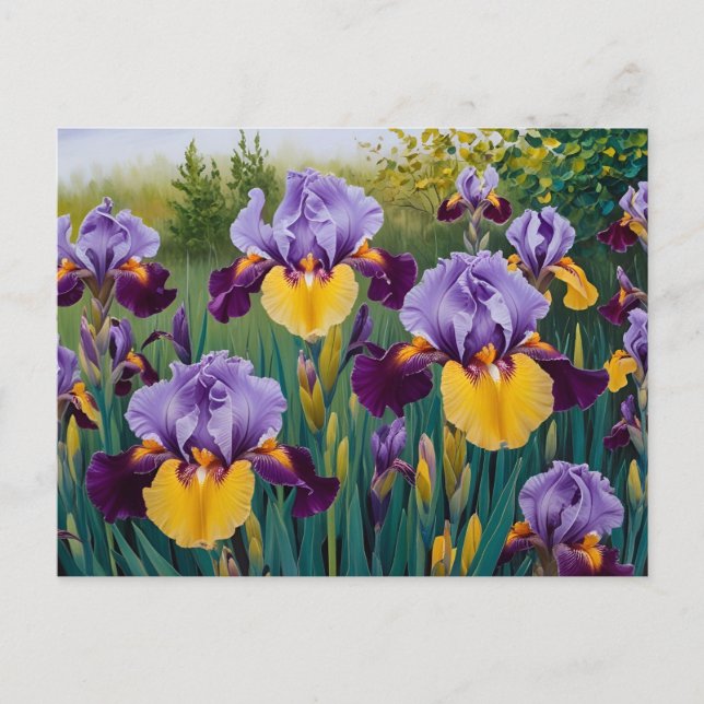 Blooming Lila Yellow Iris Blume Postkarte (Vorderseite)