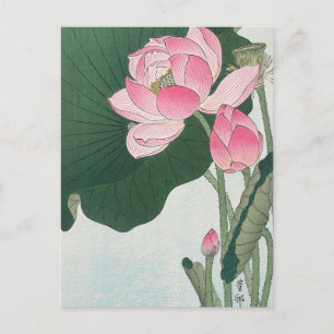 Blooming Lotus Blume Gemälde von Ohara Koson Postkarte