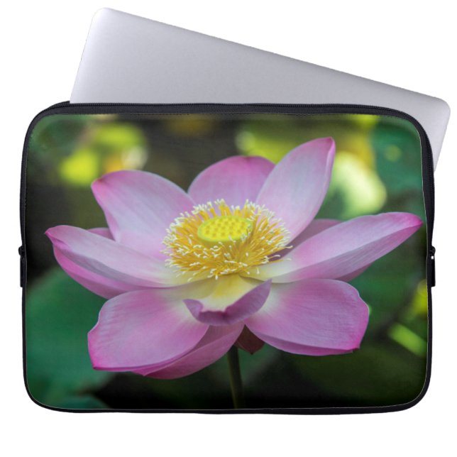 Blooming lotus Blume, Indonesien Laptopschutzhülle (Vorderseite)