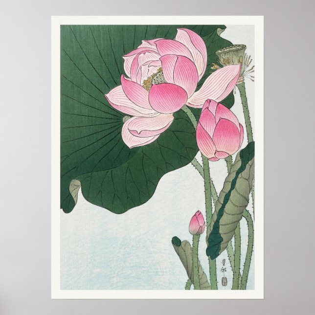 Blooming Lotus Blume Ohara Koson japanische Kunst Poster (Vorne)