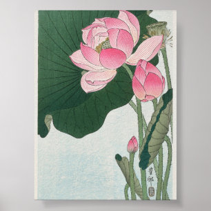 Blooming Lotus Blume von Ohara Koson (1920-1930) Poster