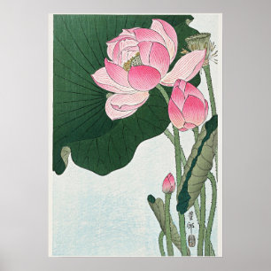 Blooming Lotus Blume von Ohara Koson Poster