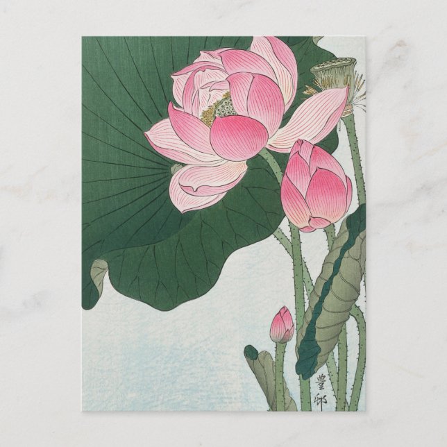 Blooming Lotus-Blume von Ohara Koson Postkarte (Vorderseite)