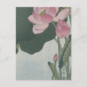Blooming Lotus Blume von Ohara Koson Postkarte
