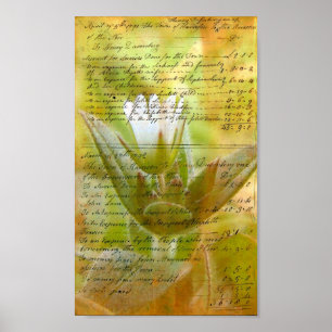 Blooming White Blume Vintag Handwriting Poster