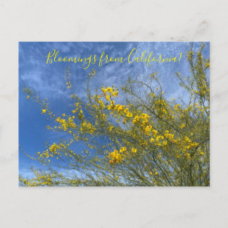 Bloomings aus dem kalifornischen Wüstenmuseum Palo Postkarte