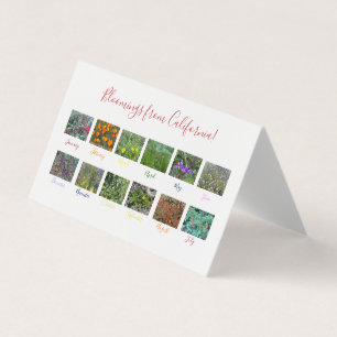 Bloomings aus Kalifornien!