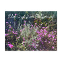 Bloomings aus Kalifornien: Abschied vom Frühling!