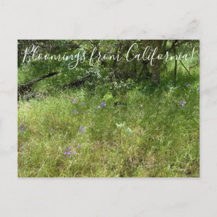 Bloomings aus Kalifornien: Ithurieler Speer Postkarte