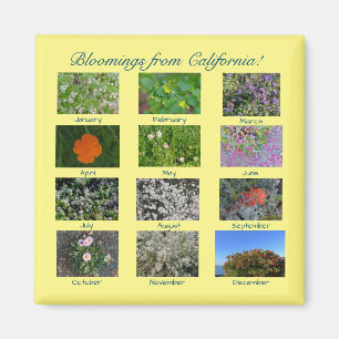 Bloomings aus Kalifornien! Magnet