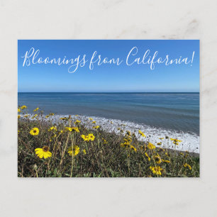 Bloomings aus Kalifornien! Postkarte