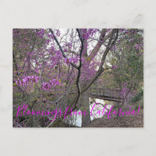 Bloomings aus Kalifornien: Western Redbud Postcard Postkarte