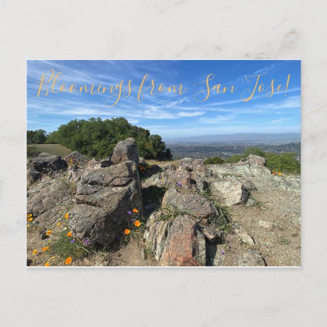 Bloomings aus San José! Postkarte (Vorderseite)