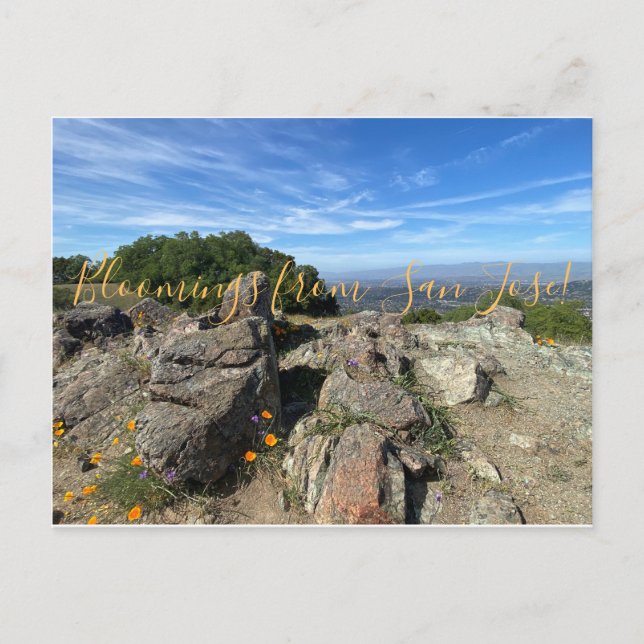 Bloomings aus San José! Postkarte (Vorderseite)