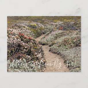 Bloomings von Big Sur! Postkarte