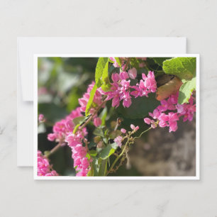 Blooms & Stings Postkarte