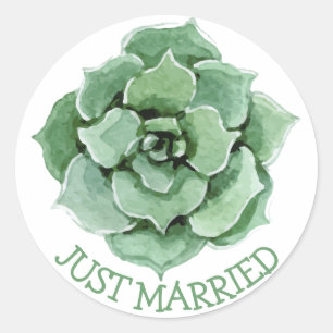 Bloral Just Married Green succulent Cactus Wedding Runder Aufkleber