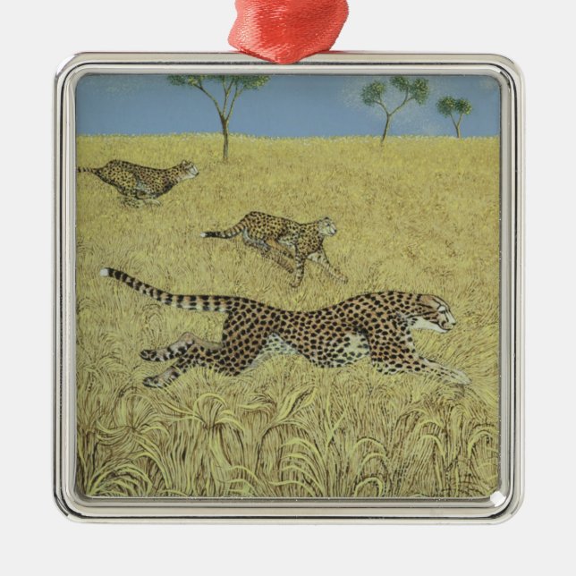 Bloße Geschwindigkeit Ornament Aus Metall (Vorne)