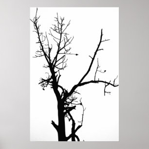 Bloßer Schwarzweiss-Baum Poster