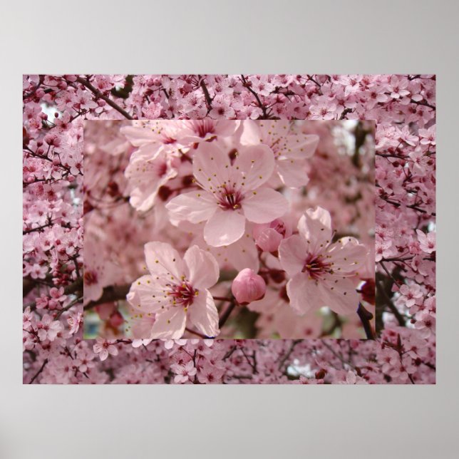 Blossom Art Pink Frühlingsbaum Blütendrucke Poster (Vorne)