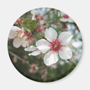 Blossom Blume Magnet