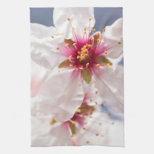 Blossom des Mandelbaums Geschirrtuch