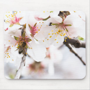 Blossom des Mandelbaums Mousepad