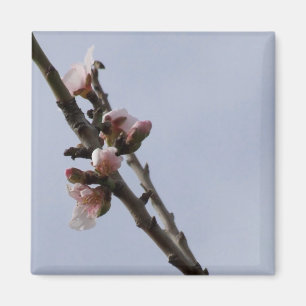 Blossom Magnet