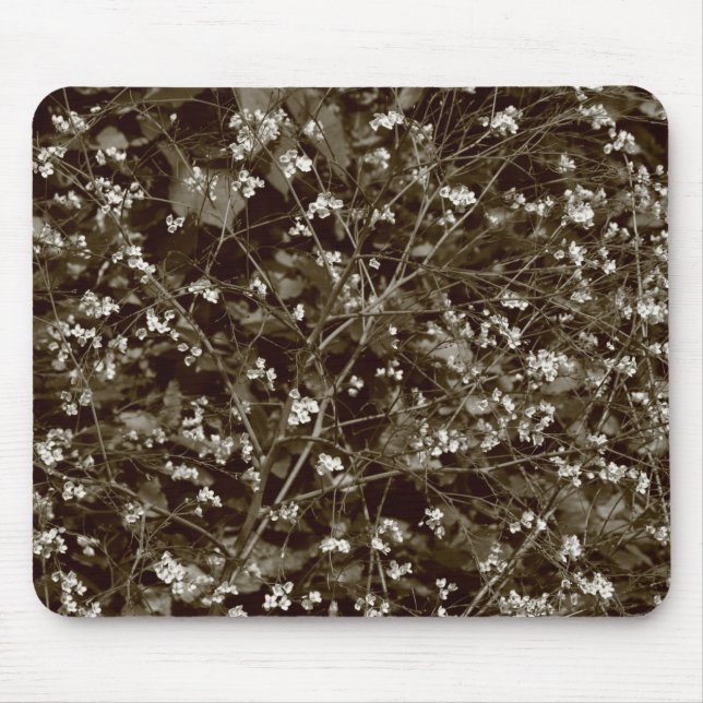 Blossom Mousepad (Vorne)