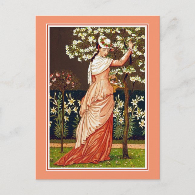Blossom Picking Time Vintag Illustration Postkarte (Vorderseite)