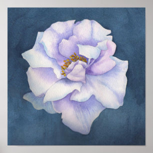 Blossom Poster