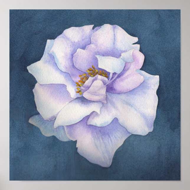 Blossom Poster (Vorne)