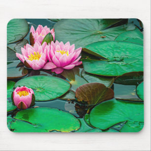Blossom rosa Lotus auf dem See Mousepad