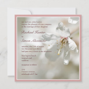 Blossom Wedding Pale Cherry Einladung