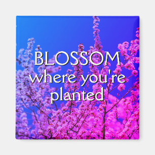 BLOSSOM, WO SIE PLANTIERT WERDEN MAGNET