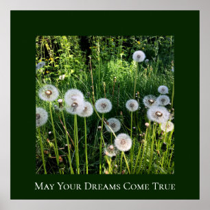 Blowing Dandelion Dreams Wish Botanical Poster