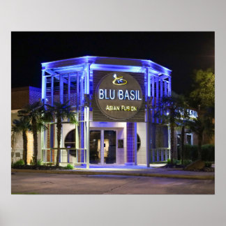 Blu Basil Nachtaufnahme Poster