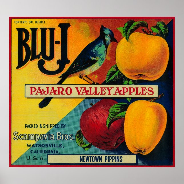 Blu-J Apple Crate LabelWatsonville, CA Poster (Vorne)